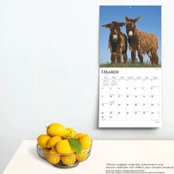 2025 Calendars|BrownTrout 2025 Donkeys 12