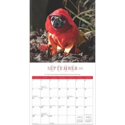 2025 Calendars|BrownTrout 2025 Fantasy Pugs 12