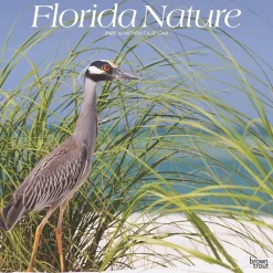 2025 Calendars|BrownTrout 2025 Florida Nature 12" x 24" Monthly Square Wall Calendar, (9781975474805)