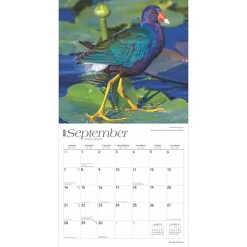2025 Calendars|BrownTrout 2025 Florida Nature 12