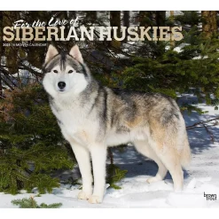 2025 Calendars|BrownTrout 2025 For the Love of Siberian Huskies 7" x 12" Monthly Wall Calendar (9781975473082)