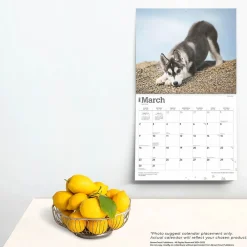 2025 Calendars|BrownTrout 2025 For the Love of Siberian Huskies 7