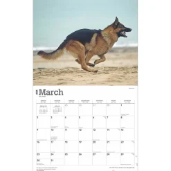 2025 Calendars|BrownTrout 2025 For the Love of German Shepherds 7