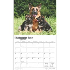 2025 Calendars|BrownTrout 2025 For the Love of German Shepherds 7