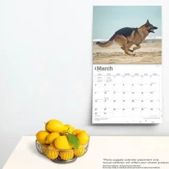 2025 Calendars|BrownTrout 2025 For the Love of German Shepherds 7