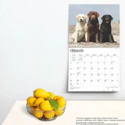 2025 Calendars|BrownTrout 2025 For the Love of Labrador Retrievers 14