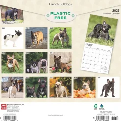 2025 Calendars|BrownTrout 2025 French Bulldogs 12" x 12" Monthly Square Wall Calendar (9781975476984)