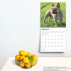 2025 Calendars|BrownTrout 2025 French Bulldogs 12