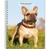 2025 Planners|BrownTrout 2025 French Bulldogs 6" x 7.75" Weekly Engagement Planner, Paper Cover, Multicolored (9781975483159)