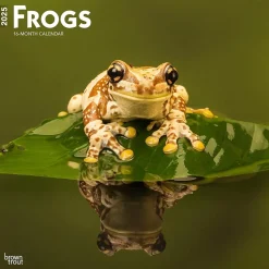 2025 Calendars|BrownTrout 2025 Frogs 12" x 24" Monthly Square Wall Calendar (9781975476991)