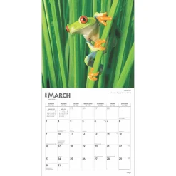 2025 Calendars|BrownTrout 2025 Frogs 12