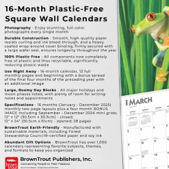 2025 Calendars|BrownTrout 2025 Frogs 12