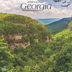 2025 Calendars|BrownTrout 2025 Georgia Wild & Scenic 12" x 12" Monthly Square Wall Calendar (9781975474836)