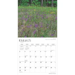 2025 Calendars|BrownTrout 2025 Georgia Wild & Scenic 12