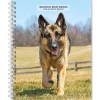 2025 Planners|BrownTrout 2025 German Shepherds 6" x 7.75" Weekly Engagement Planner, Paper Cover, Multicolored (9781975473143)