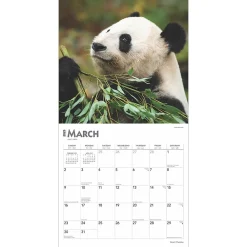 2025 Calendars|BrownTrout 2025 Giant Pandas 12