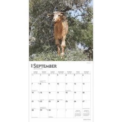 2025 Calendars|BrownTrout 2025 Goats in Trees 12
