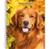 2025 Planners|BrownTrout 2025 Golden Retrievers 6" x 7.75" Weekly Engagement Planner, Paper Cover, Multicolored (9781975473150)