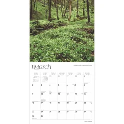 2025 Calendars|BrownTrout 2025 Great Smokies 12