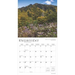 2025 Calendars|BrownTrout 2025 Great Smokies 12