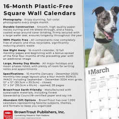 2025 Calendars|BrownTrout 2025 Greyhounds 12