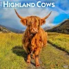 2025 Calendars|BrownTrout 2025 Highland Cows 12" x 12" Monthly Square Wall Calendar (9781975478377)