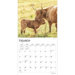 2025 Calendars|BrownTrout 2025 Highland Cows 12