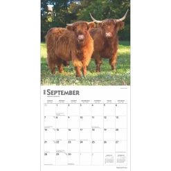 2025 Calendars|BrownTrout 2025 Highland Cows 12