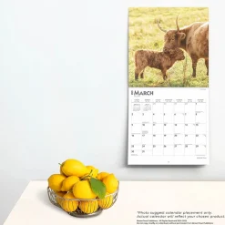 2025 Calendars|BrownTrout 2025 Highland Cows 12