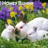 2025 Calendars|BrownTrout 2025 Honey Bunny 12" x 12" Monthly Wall Calendar (9781975474911)