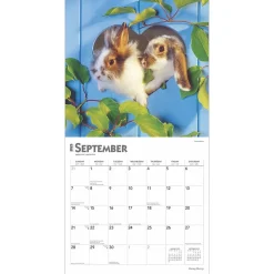 2025 Calendars|BrownTrout 2025 Honey Bunny 12
