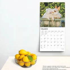 2025 Calendars|BrownTrout 2025 Honey Bunny 12