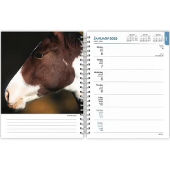 2025 Planners|BrownTrout 2025 Horse Lovers 6