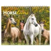 2025 Calendars|BrownTrout 2025 Horse Lovers 7.5" x 6" Monthly Desk Calendar (9781975478476)