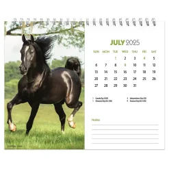 2025 Calendars|BrownTrout 2025 Horse Lovers 7.5