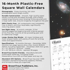 2025 Calendars|BrownTrout 2025 Hubble Space Telescope 12