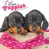2025 Calendars|BrownTrout 2025 I Love Puppies 12" x 12" Monthly Wall Calendar (9781975477592)