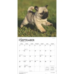 2025 Calendars|BrownTrout 2025 I Love Puppies 12