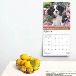 2025 Calendars|BrownTrout 2025 I Love Puppies 12