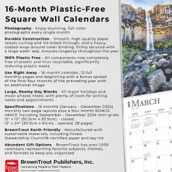 2025 Calendars|BrownTrout 2025 Iceland 12