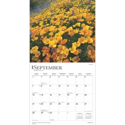2025 Calendars|BrownTrout 2025 Inspiration 12