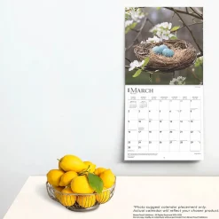 2025 Calendars|BrownTrout 2025 Inspiration 12