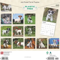 2025 Calendars|BrownTrout 2025 Jack Russell Terrier Puppies 12" x 12" Monthly Wall Calendar (9781975477226)