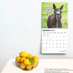 2025 Calendars|BrownTrout 2025 Jackasses 12