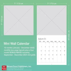 2025 Calendars|BrownTrout 2025 Karate Cats 7