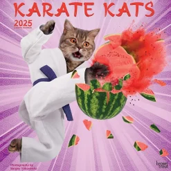 2025 Calendars|BrownTrout 2025 Karate Cats 12" x 24" Monthly Square Wall Calendar, (9781975479831)
