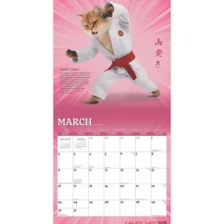 2025 Calendars|BrownTrout 2025 Karate Cats 12
