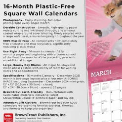 2025 Calendars|BrownTrout 2025 Karate Cats 12