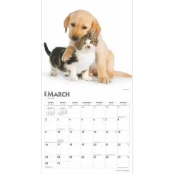 2025 Calendars|BrownTrout 2025 Kittens & Puppies 12