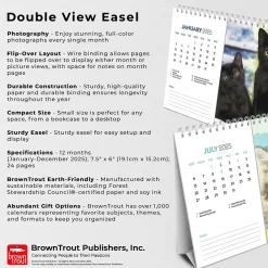 2025 Calendars|BrownTrout 2025 Kittens 7.5